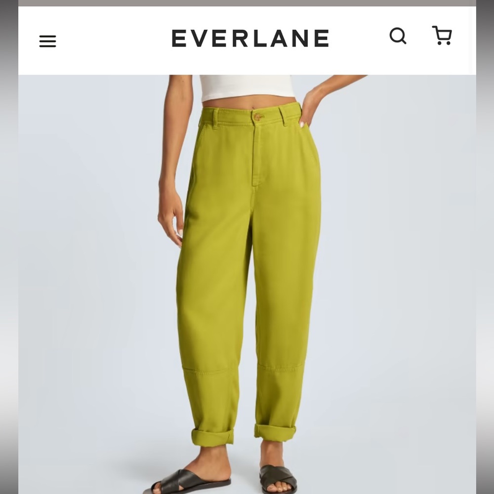EVERLANE Relaxed Chino